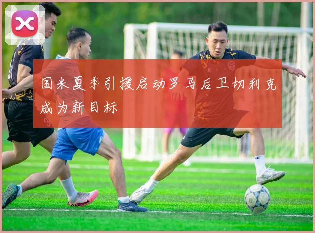 国米夏季引援启动罗马后卫切利克成为新目标